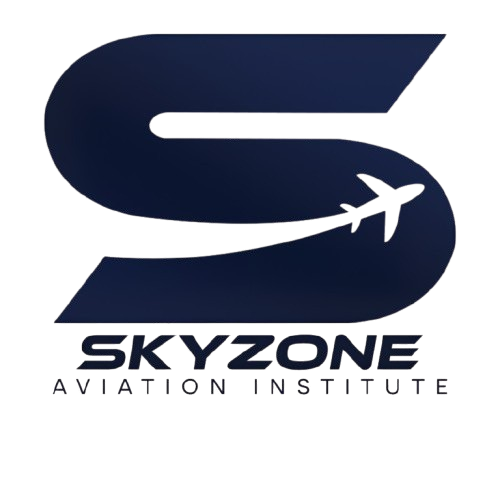 Skyzone Institute
